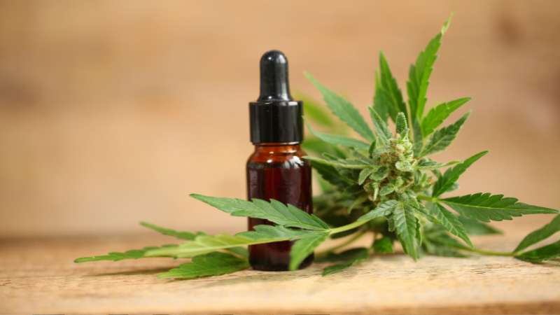 Can CBD help treat Varicose and Spider Veins: The definitive guide